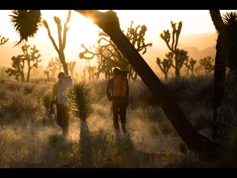 Video till Intervju med Jeff Johnson