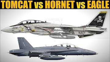 Can The F-14B Tomcat Dogfight? | DCS WORLD