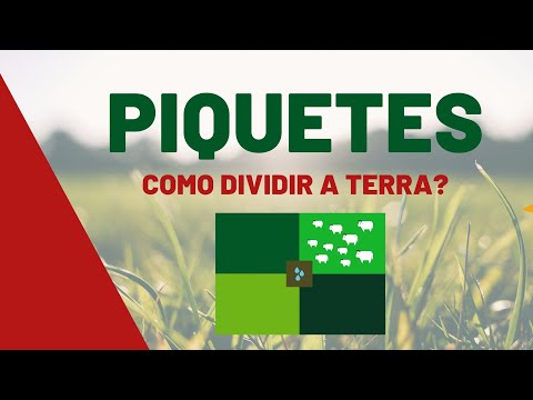 Vídeo: Como Dividir Propriedade