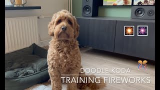 Dog training - Fireworks by Doodle Koda 351 views 1 year ago 10 minutes, 41 seconds