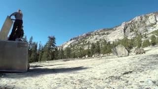 Endangered Sierra Nevada bighorn sheep airlifted into Yosemite, released into wild