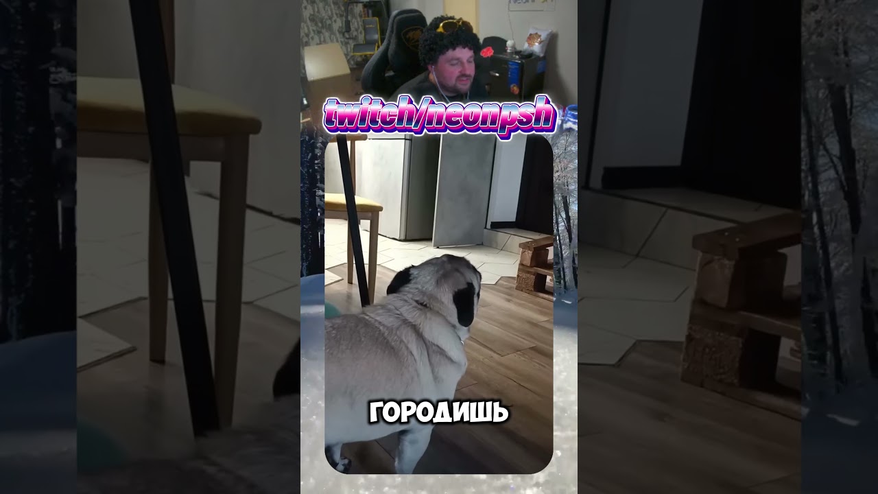 Какая драма😭🐶| twitch.tv/neonpsh - розыгрыши и турниры каждый месяц!