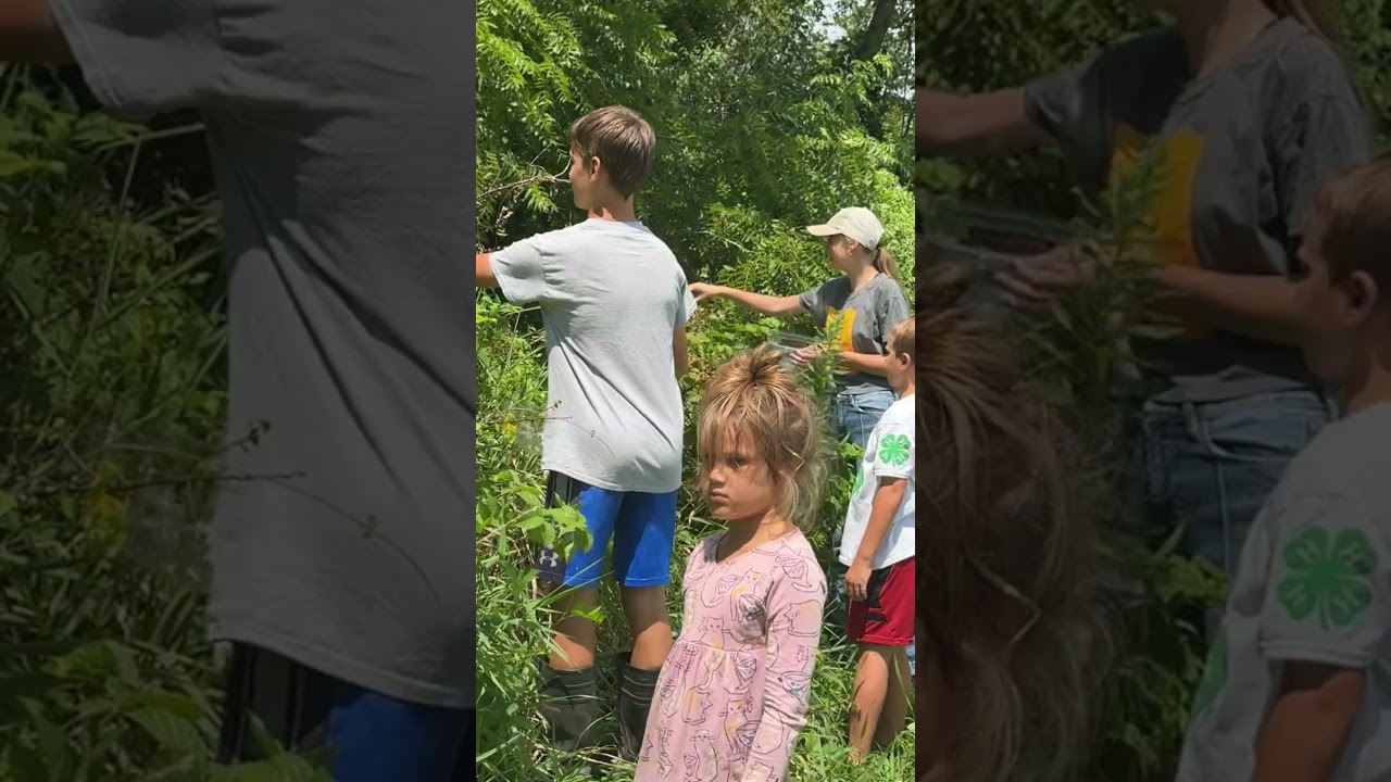 Come pick WILD BLACKBERRIES with us! 