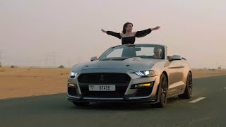 Ford Mustang EcoBoost High Performance - POV Drive  Review Who Buys This 2023 Ford Mustang Ecoboost High Performance Pack Convertible Review