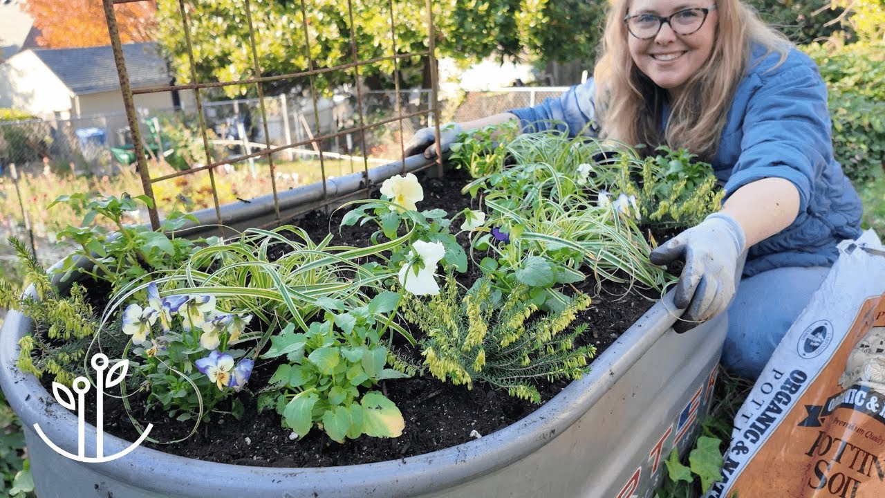 Улучшите свой метод посадки луковиц лазаньей с помощью этих ПРОСТЫХ шагов 🪴
