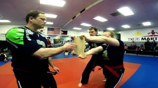 Advanced Board Breaking Seminar Feb 2014