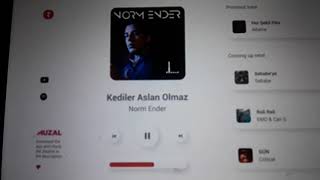 Norm Ender Kediler Aslan Olmaz Sansürlü
