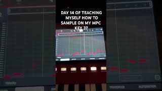 Day 14 of teaching myself how to sample on the mpc key37 #mpckey37#mpc#samplechops#boombap#mpcsample
