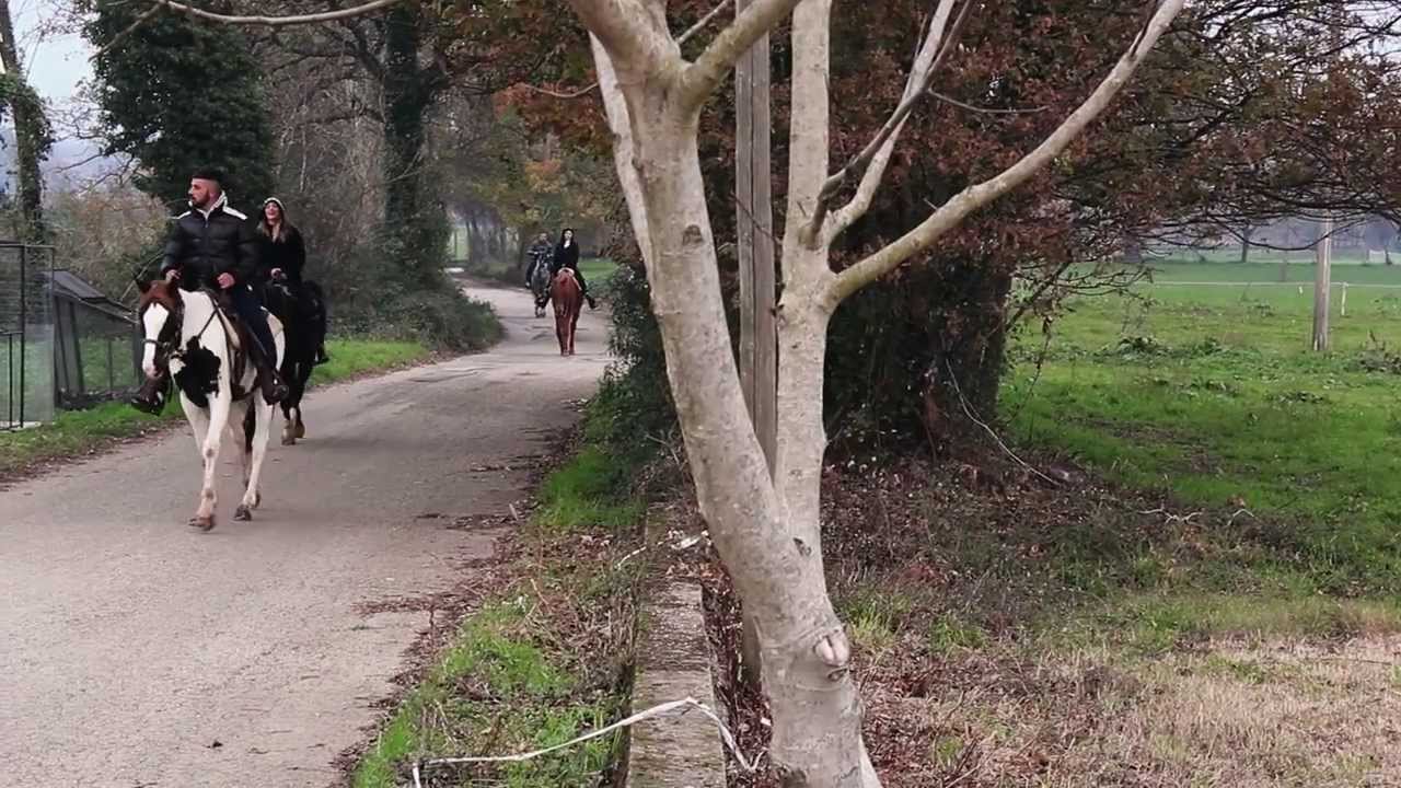 La Tenuta Del Cavaliere Natura E Sapori Lontani Dalla Citt YouTube