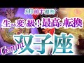 双子座 5月前半【強すぎ!最高の流れを引き寄せるサインが凄い】デトックスと整理整頓の時 ふたご座運勢 2026年5月タロットリーディング Gemini May