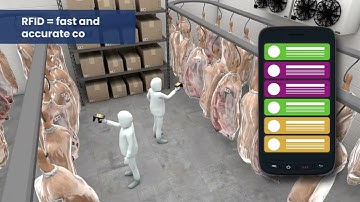 Software for Meat Processing Plants - Complete Control with RFID System