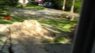 MVI_6714[1].avi