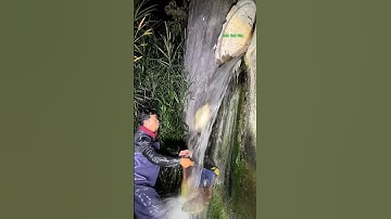 Cá Lớn - hứng Cá Chép Khủng rơi khỏi cống nước 😱 #khacthuyvlogg