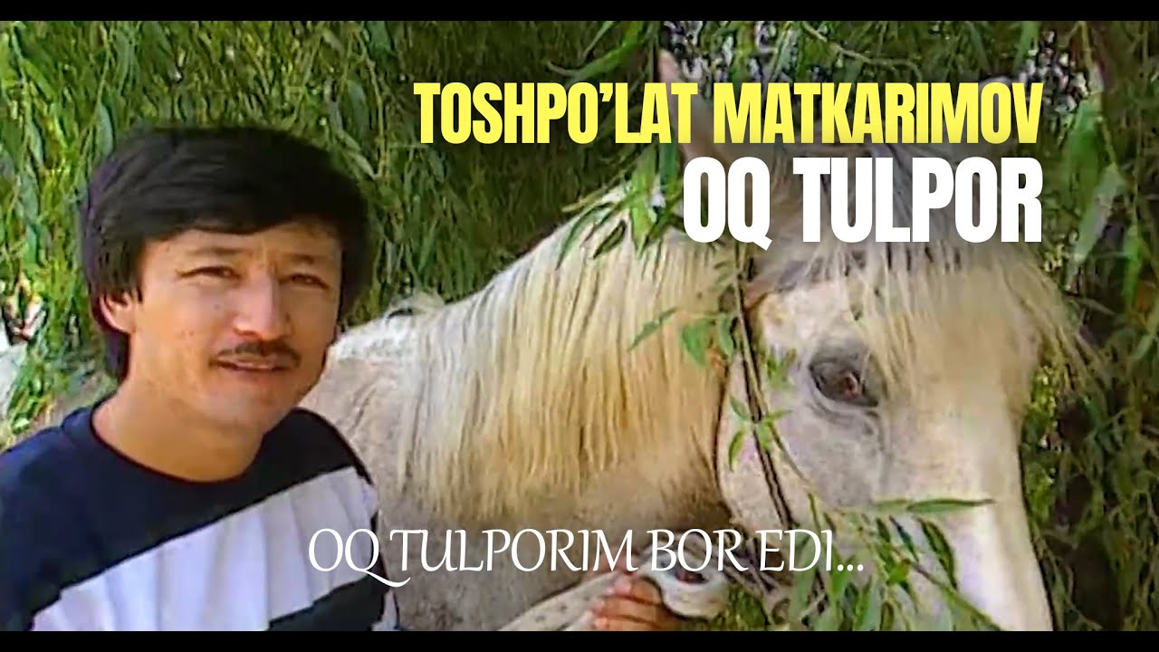 Toshpo'lat Matkarimov - Oq tulpor | Тошпўлат Маткаримов - Оқ тулпор