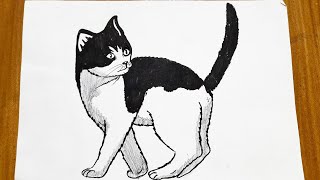 How To Draw A Cat Easy Step By Step Cat Drawing For Beginners