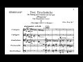 Alban Berg - Three Fragments from 'Wozzeck' (Audio + Full Score)