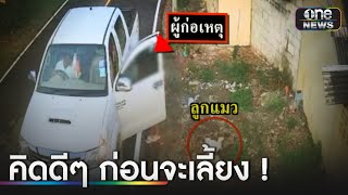 วงจรปิดสองผัวเมียแอบนำแมว 7 ตัวทิ้งวัด | ข่าวเช้าช่องวัน | สำนักข่าววันนิวส์