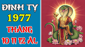 Tử Vi Tháng 10-11-12 Âm Lịch 2025 Tuổi Đinh Tỵ 1977 | Vận May Dồn Về, Tài Vận Sung Túc