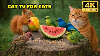 Cat TV for Cats to Watch 🌸 Spring Nature Garden with Birds and Soft Colors | 4K Cat Game screenshot 2