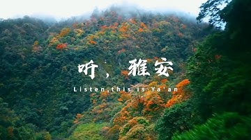 Both the Giant Panda