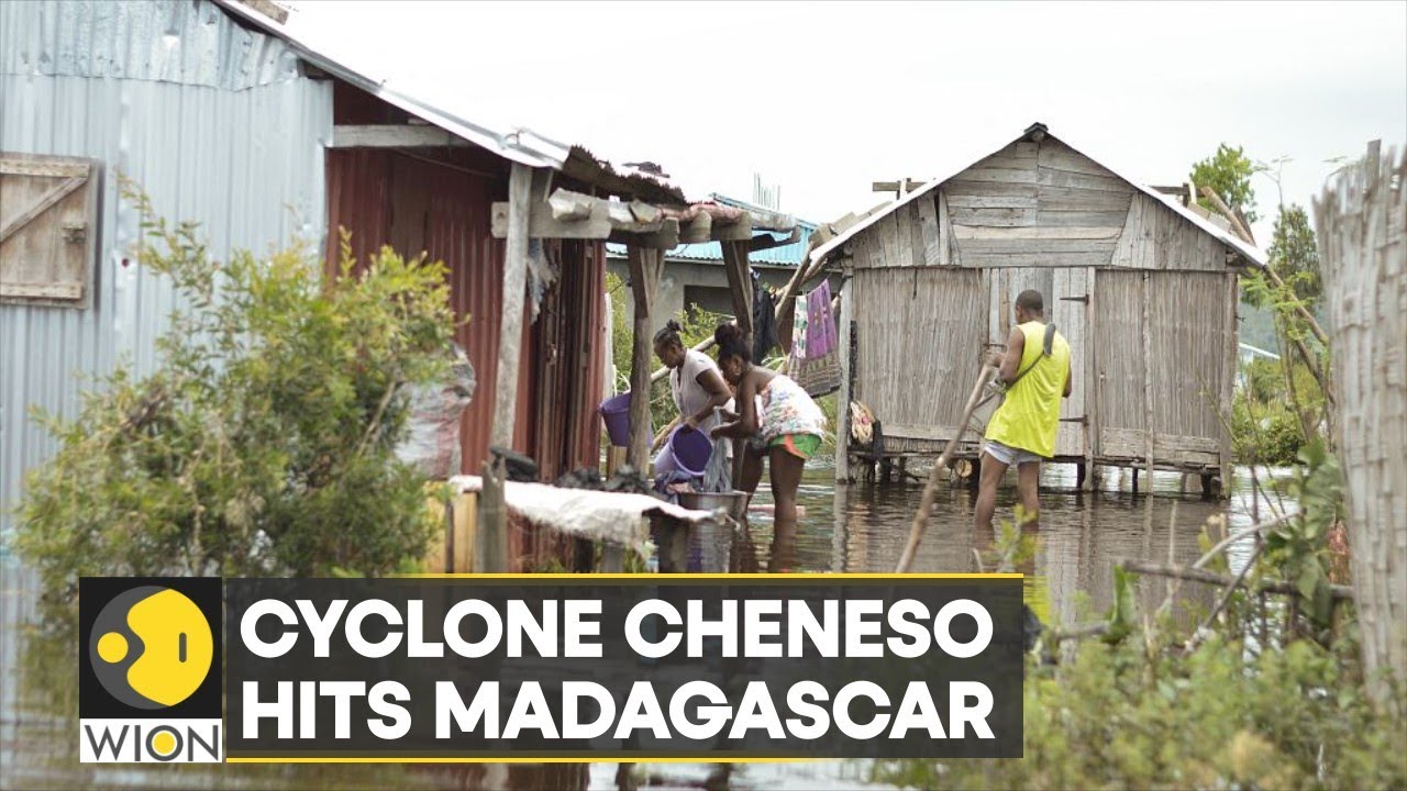 ⁣Cyclone Cheneso kills dozens in Madagascar | WION Climate Tracker | Latest English News |