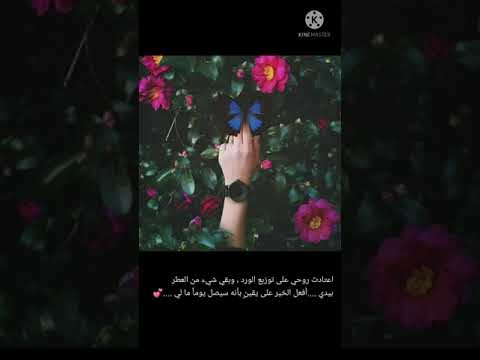 توزيع الورد