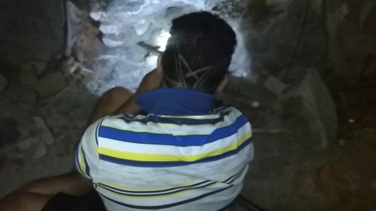 rescue thai cave बडे मुश्किल से खोद के इस कोब्रा को निकाला गया। कैसे? देखिये अंत तक
