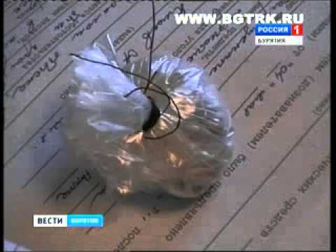 Всемирный день борьбы с наркоманией и наркопреступностью