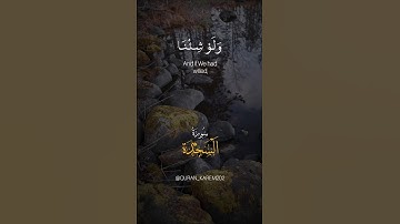 القارئ:عبد الرحمن مسعد💚🌿 #اذكر_الله #قرآن #اكسبلور #مصر #عبدالرحمن_مسعد #quran #explore #egypt