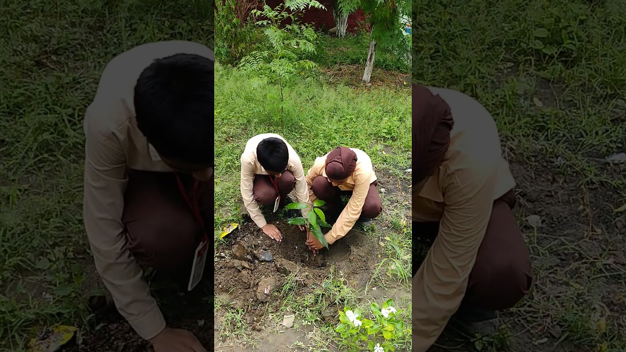 Save nature Save Future Generations SaveTrees organic farming 