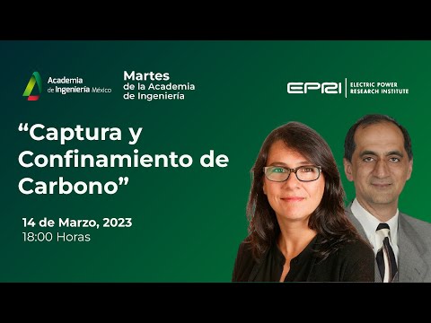 Martes de la