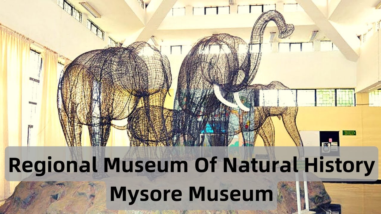 Regional Museum of Natural History Mysore || 