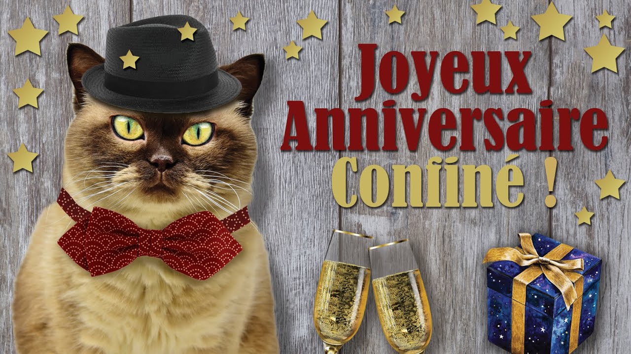 164 Joyeux Anniversaire Confine Carte Virtuelle Chats Humour Youtube