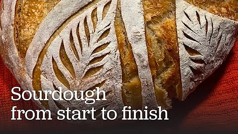 Sourdough from start to finish