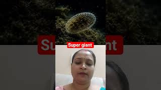 super giant #neetaspirents #iitjee #physics #chemistry #shorts