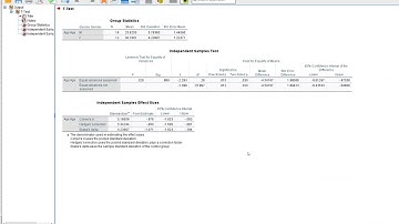 Performing t-test 2 Independent samples(2 means) using IBM SPSS 29