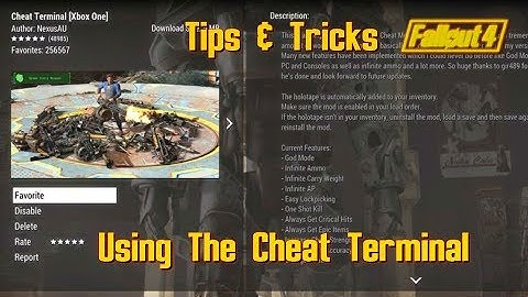 Using The Cheat Terminal...Or Not