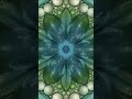 Animated Flower-Like Petals Presentation ~ 050326.7 #art #pattern