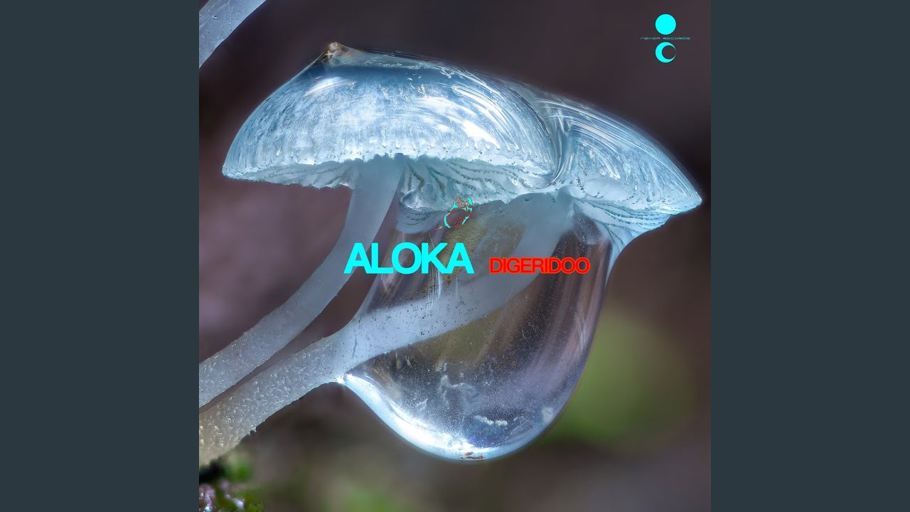Watch Digeridoo on YouTube Watch Digeridoo on YouTube