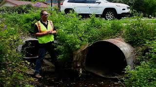 Storm Water and Illicit Discharge Best Practices
