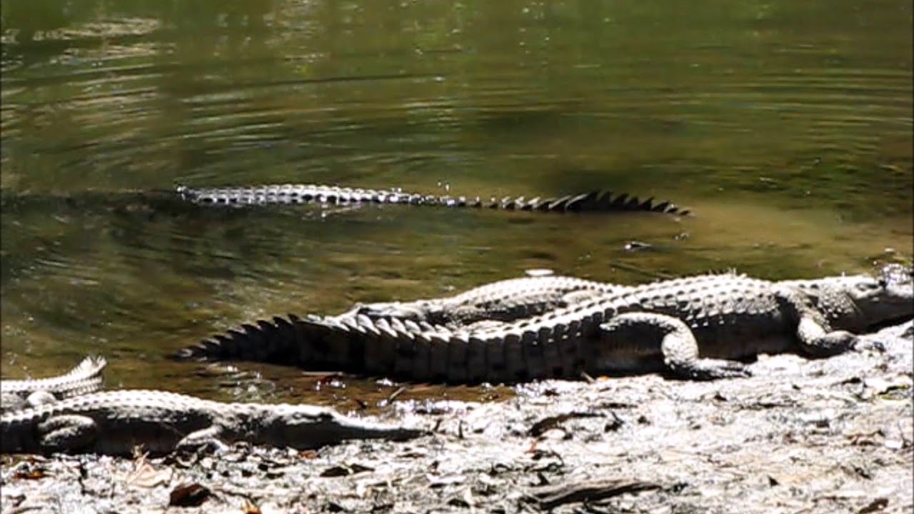 Aerial Surveying 1, 2006 - 2012