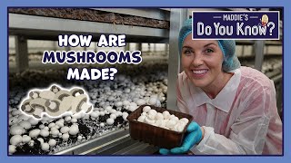 How are Mushrooms made? 🍄 Maddie's Do You Know 👩