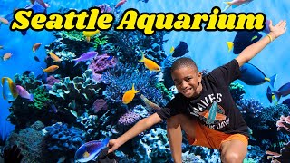 The #1 Thing To Do With KIDS in SEATTLE | Visiting The Seattle Aquarium