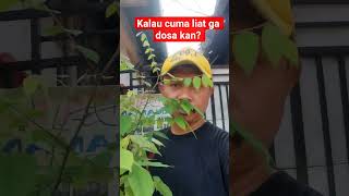 @kalau cuma liat ga dosa lkan? #lucu #vidiolucu #artis