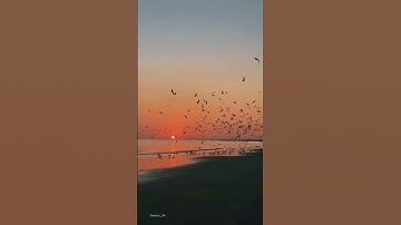 سورة لقمان الاية 18~19