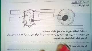 الفرض الأول في العلوم الطبيعية للسنة الثانية متوسط