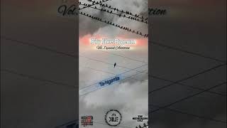 £Toz By. Ta - Ngamla (Nito Milano & Elkay)