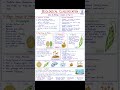 Class 11 Biology NotesChapter 2: **Biological Classification** 🌿🔬