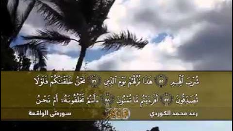 سورة " الواقعة " بصوت القارئ الكردي رعد محمد تلاوة