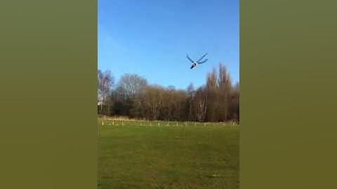 Trex 700 DFC Crash- Ben Britton